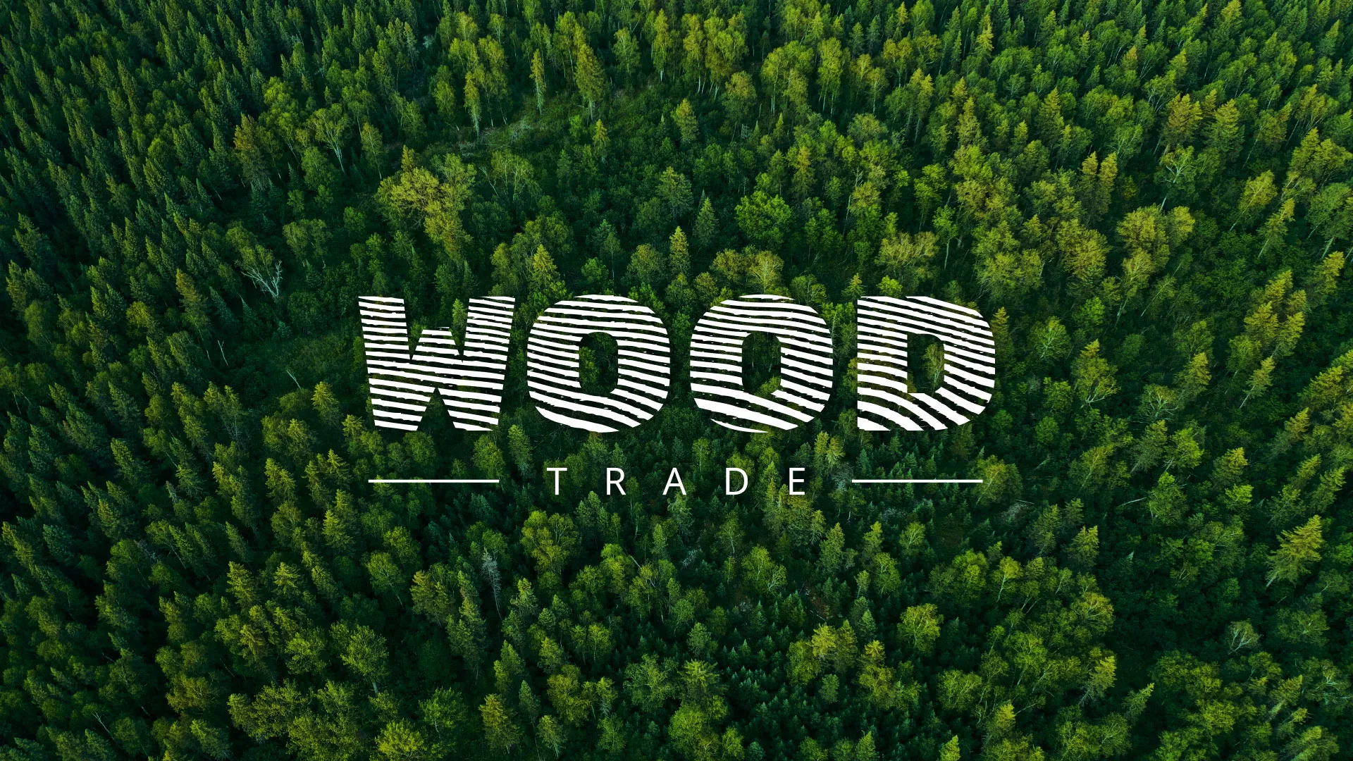 Разработка интернет-магазина компании «Wood Trade» в Щёкино