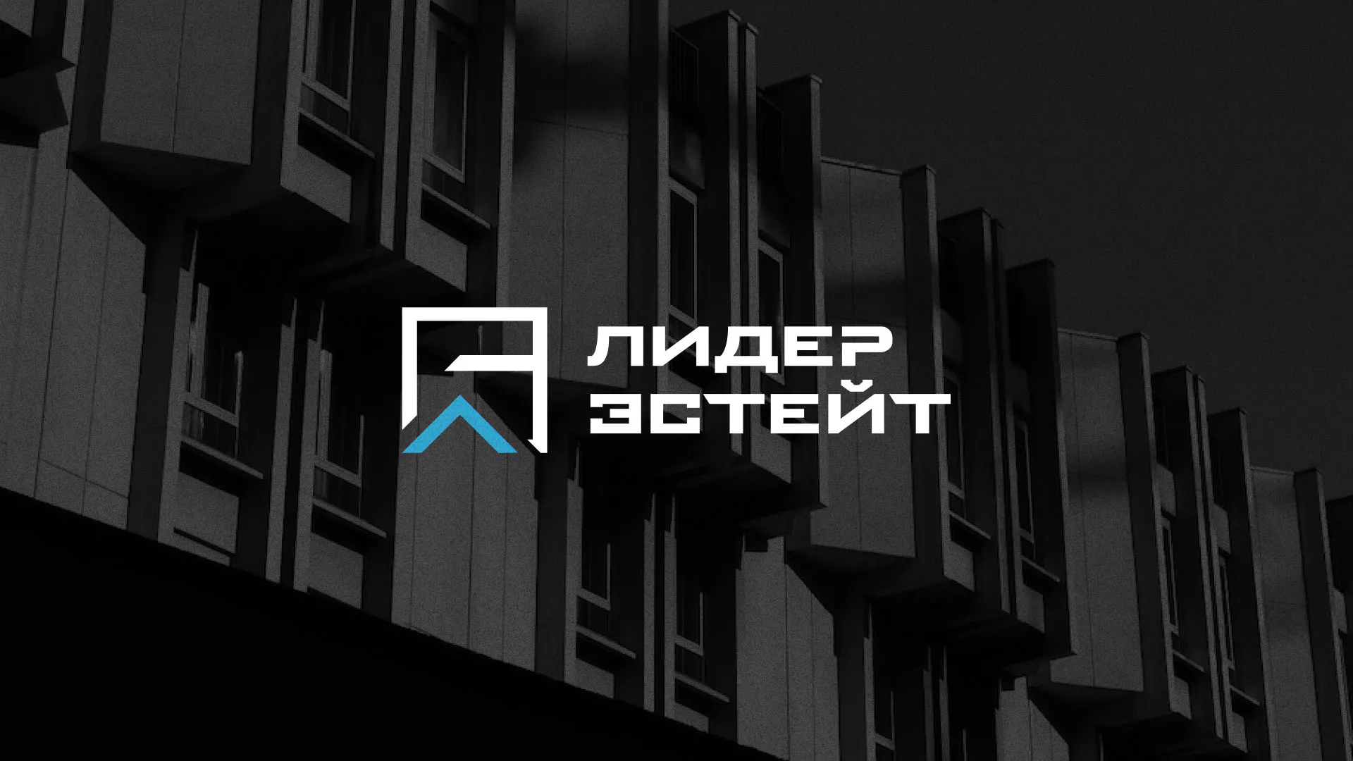 Разработка логотипа агентства недвижимости «Лидер Эстейт» в Щёкино